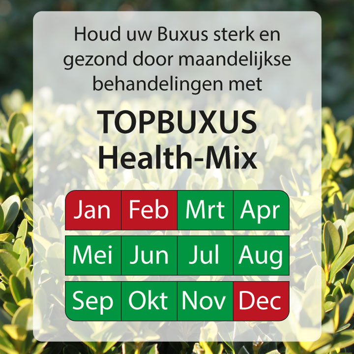 Gardez vos buis forts et sains en les traitant mensuellement avec Topbuxus Health-Mix  .